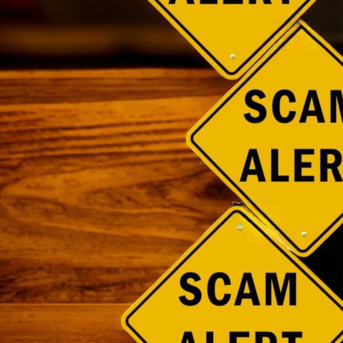 BitNest Review: What You Need To Know About BitNest Broker